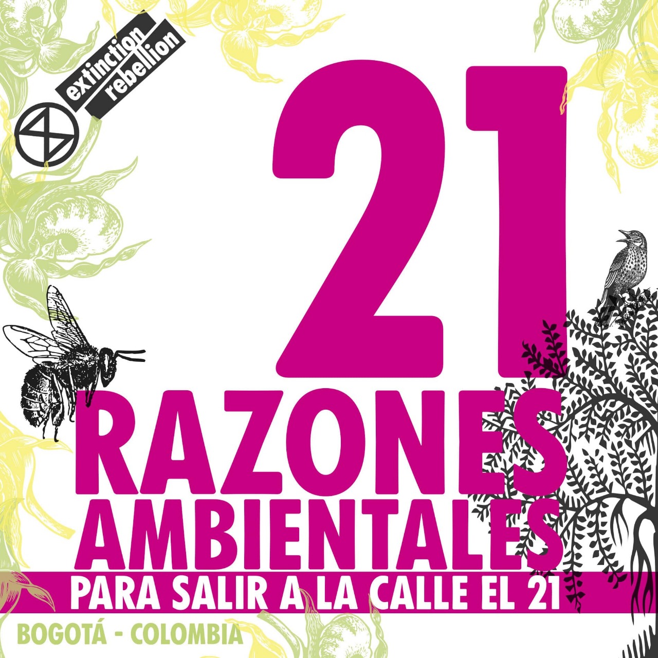Telling Each Other the Truth: Why Are Defenders of Life and Earth Being Murdered in Colombia?