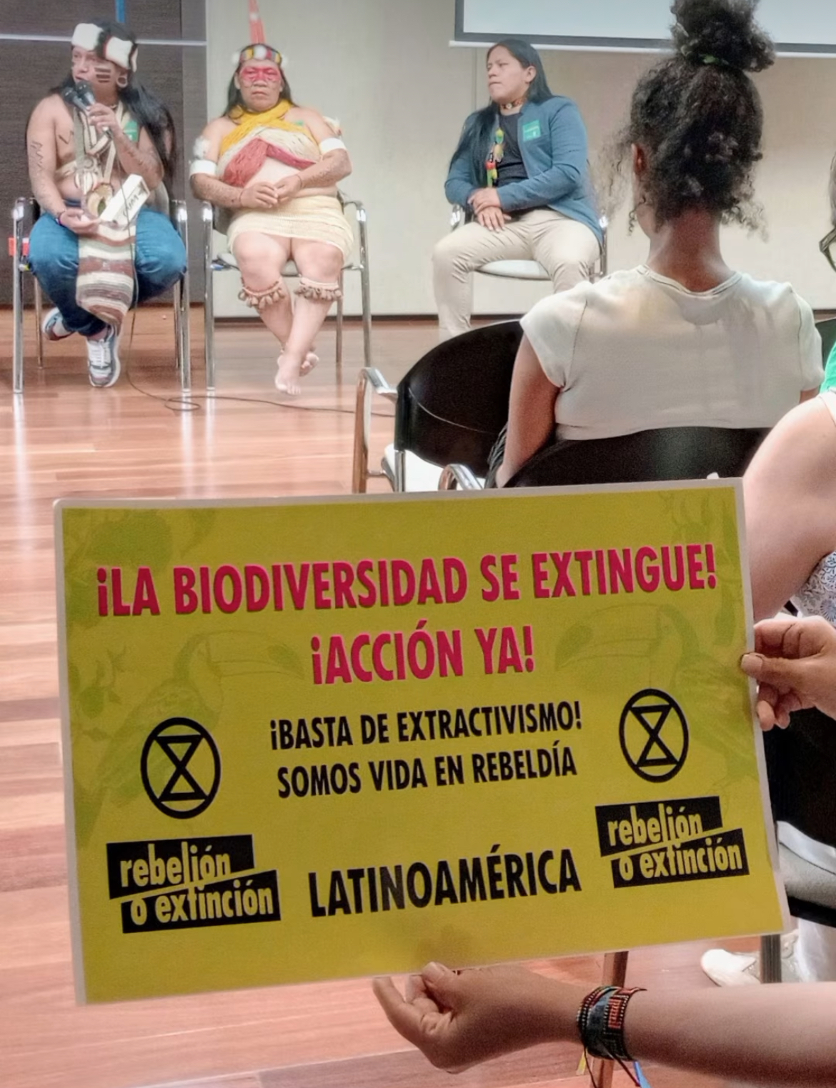 La Biodiversidad se Extingue