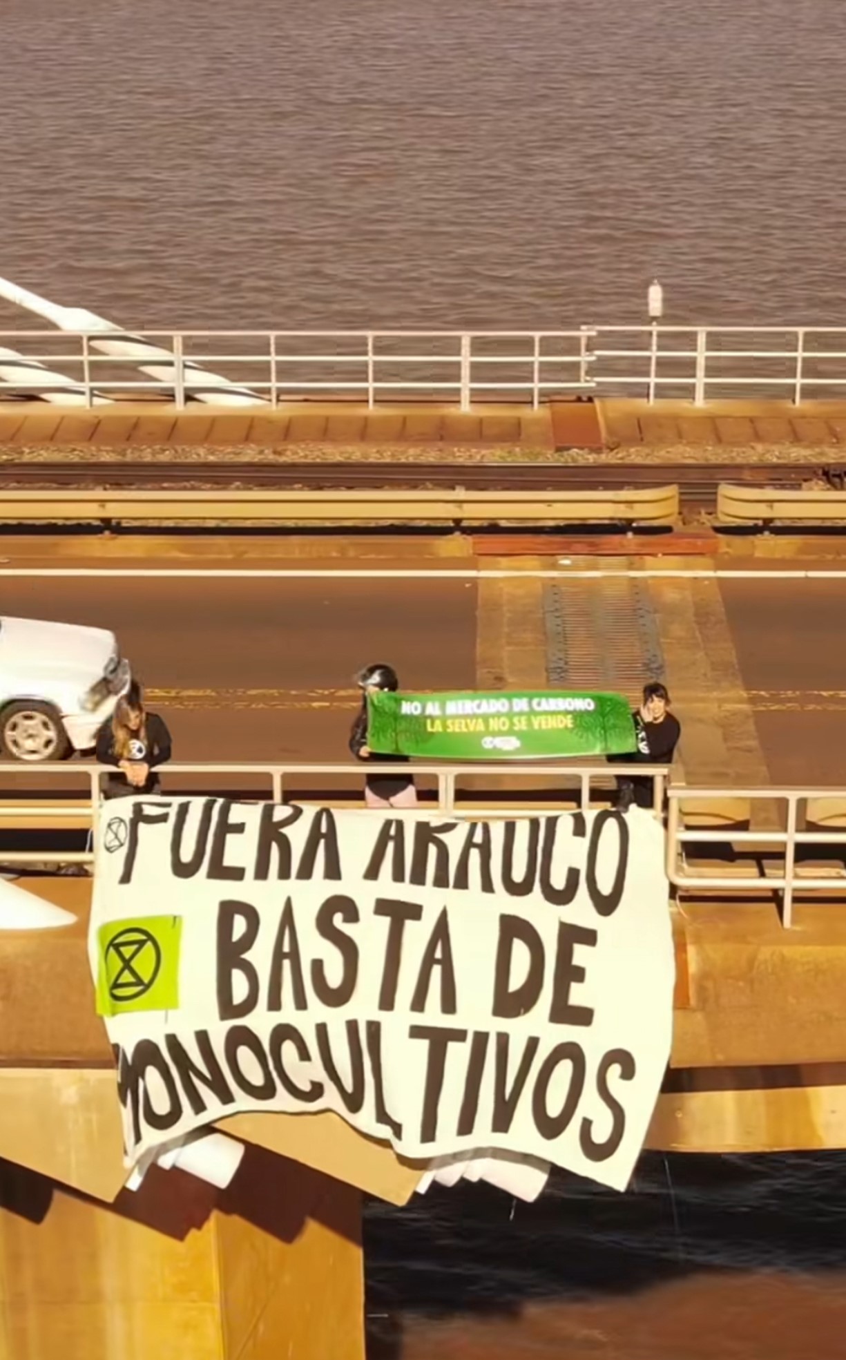 Fuera Arauco. Basta de Monicultivos