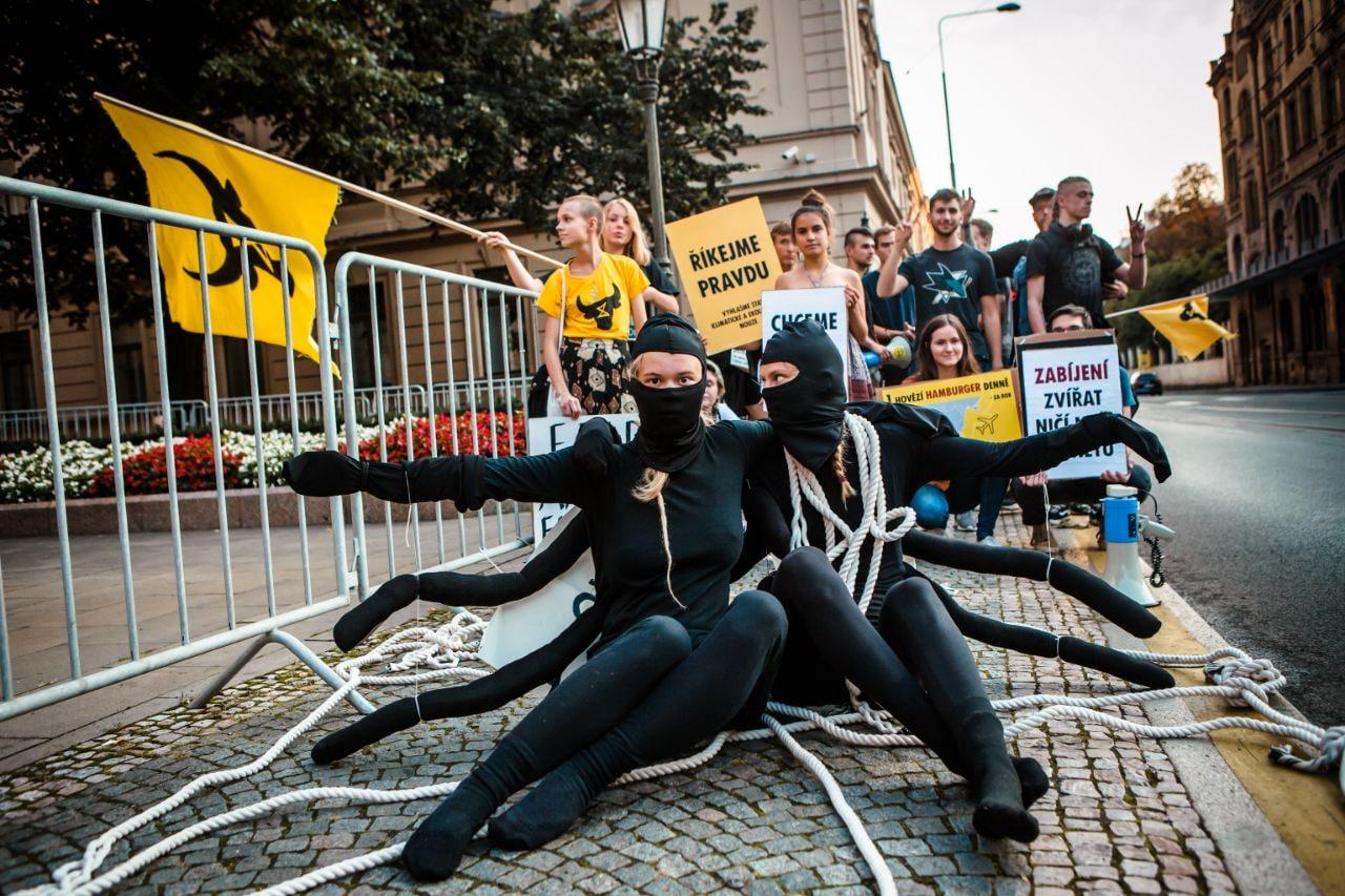 Global Newsletter #49: You Are an Animal