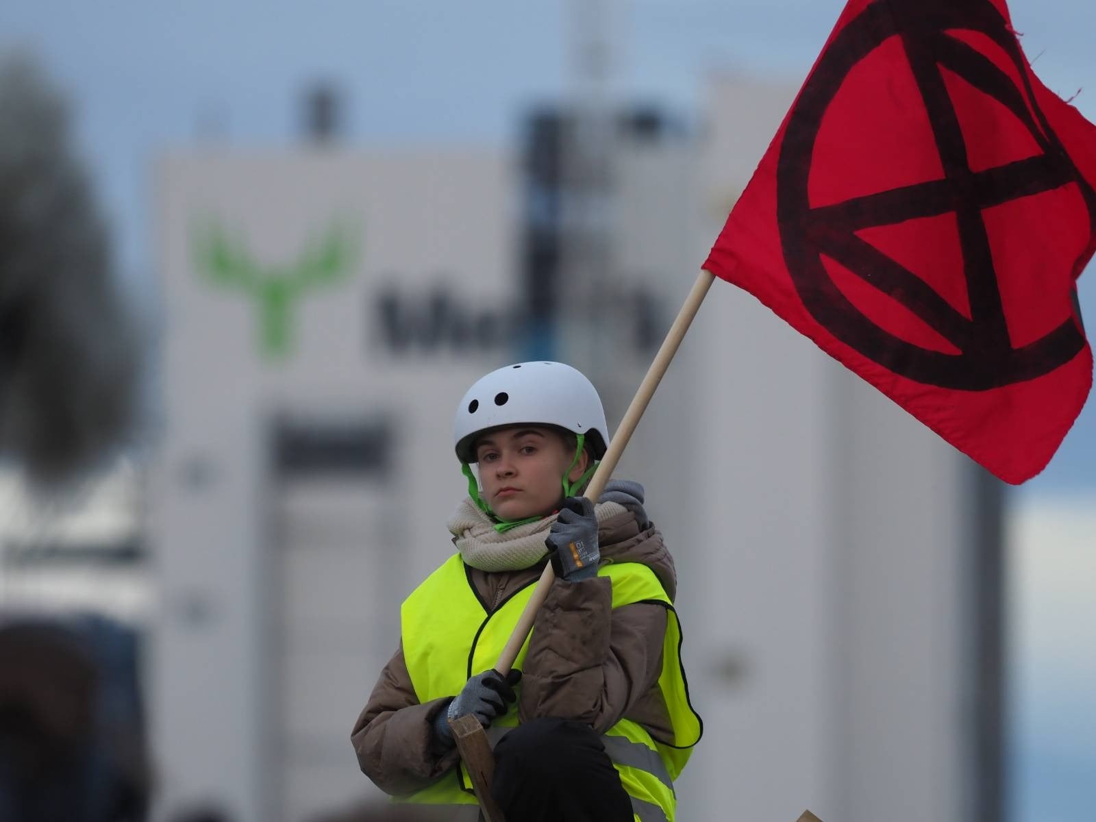 Global Newsletter #70: Don’t Obey A System That Is Killing You