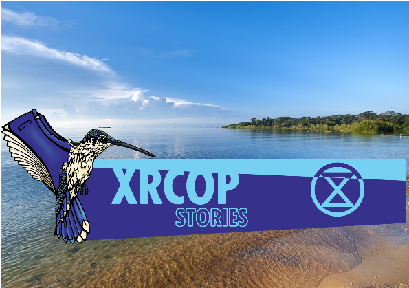 xrcop: XR Universities Uganda puts on an action for World Water Day