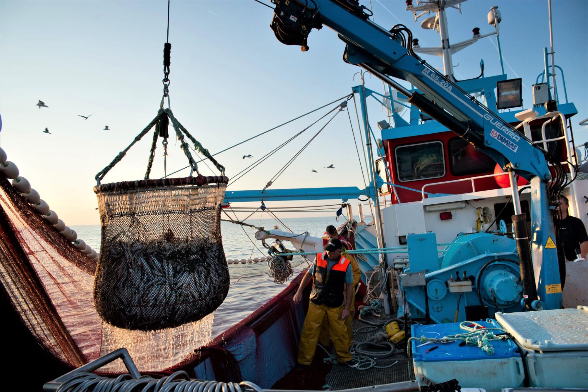 Marine Protected Areas: Protecting the Oceans Or the Status Quo?